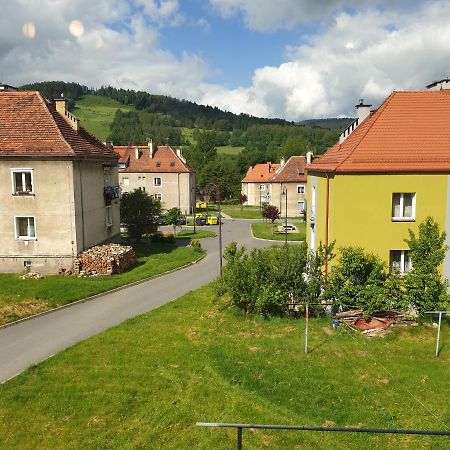 Apartament Stok O Krok Stronie Śląskie Dış mekan fotoğraf
