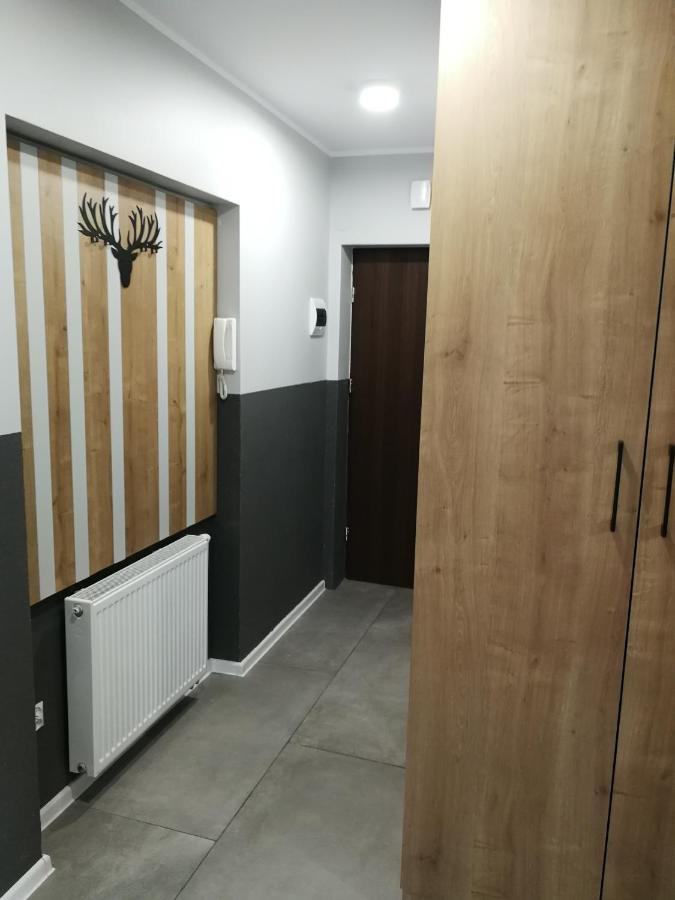 Apartament Stok O Krok Stronie Śląskie Dış mekan fotoğraf